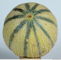 Melon Galia 0016